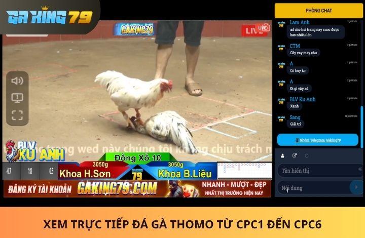 Xem trực tiếp đá gà full bồ từ CPC1 đến CPC6 cùng GAKING79