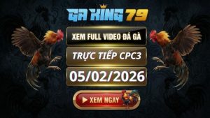 Xem Full Clip Da Ga Truc Tiep CPC3 Ngay 05022026 1 1