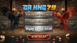 Xem Full Clip Đá Gà Trực Tiếp CPC3 Ngày 21/03/2026