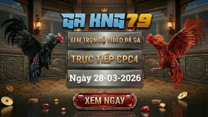 Xem Full Clip Đá Gà Trực Tiếp CPC4 Ngày 28/03/2026
