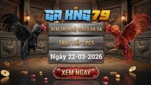 Xem Full Clip Đá Gà Trực Tiếp CPC5 Ngày 22/03/2026