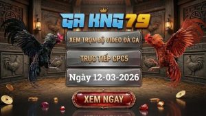 GAKING79 Xem Full Clip Da Ga Truc Tiep CPC5 Ngay 12032026 1