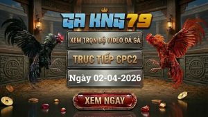 Xem Full Clip Đá Gà Trực Tiếp CPC2 Ngày 02/04/2026