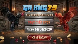 Video đá gà CPC5 ngày 14_04_2026