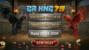 Xem Full Clip Đá Gà Trực Tiếp CPC2 Ngày 23/04/2026