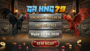 Xem Full Clip Đá Gà Trực Tiếp CPC3 Ngày 23/04/2026