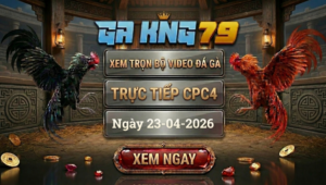 Xem Full Clip Đá Gà Trực Tiếp CPC4 Ngày 23/04/2026