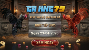 Xem Full Clip Đá Gà Trực Tiếp CPC5 Ngày 23/04/2026