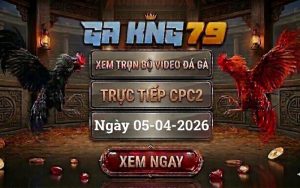 Xem Full Clip Đá Gà Trực Tiếp CPC2 Ngày 05/04/2026