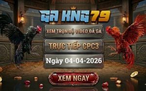 Xem Full Clip Đá Gà Trực Tiếp CPC3 Ngày 04/04/2026