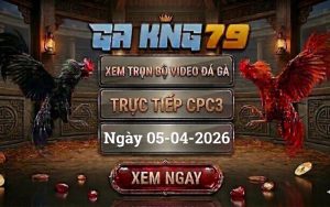 Xem Full Clip Đá Gà Trực Tiếp CPC3 Ngày 05/04/2026