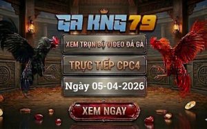 Xem Full Clip Đá Gà Trực Tiếp CPC4 Ngày 05/04/2026