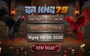 Xem Full Clip Đá Gà Trực Tiếp CPC4 Ngày 06/04/2026