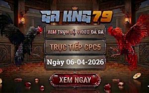 Xem Full Clip Đá Gà Trực Tiếp CPC5 Ngày 06/04/2026