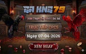 Xem Full Clip Đá Gà Trực Tiếp CPC5 Ngày 07/04/2026